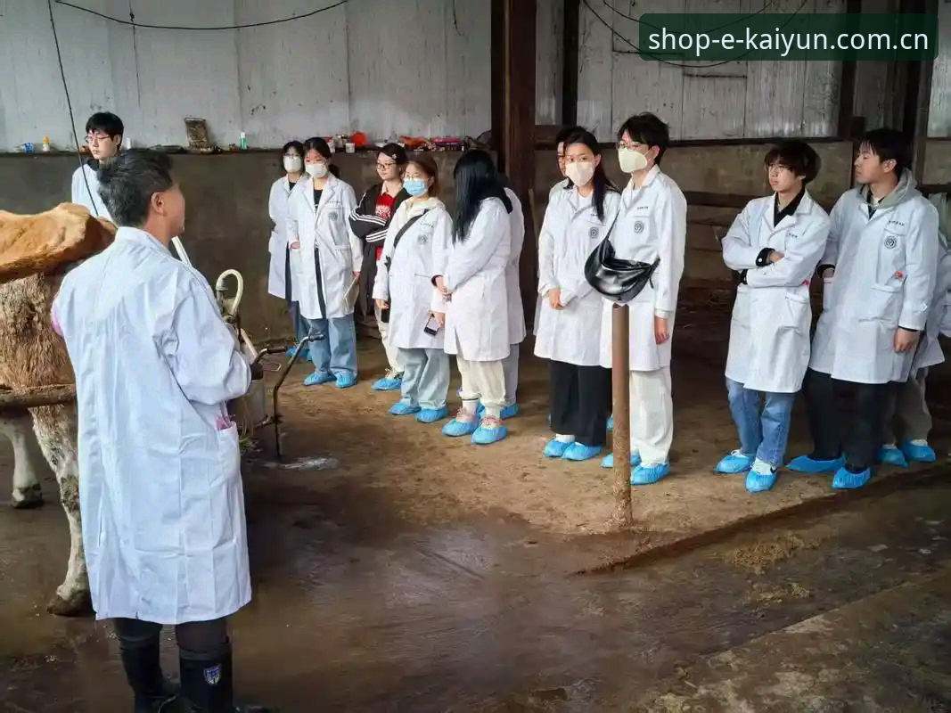 揭秘2026kaiyun安全性的真相：你不知道的平台防护机制